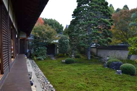 天得院　庭園その３