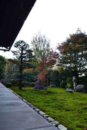 天得院　西庭