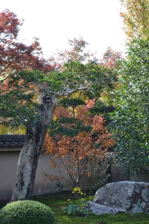 天得院　庭園