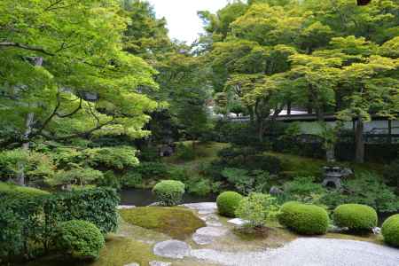 泉涌寺　御座所庭園　池と青もみじ