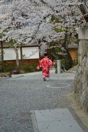 清水寺　お散歩