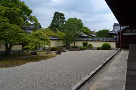 等持院　方丈前庭と青もみじ