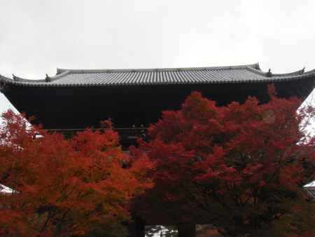 南禅寺　三門の紅葉