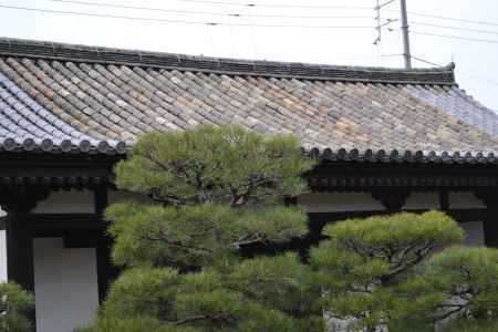 東寺　蓮華門の瓦