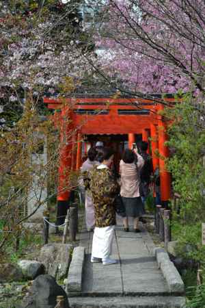 平野神社　