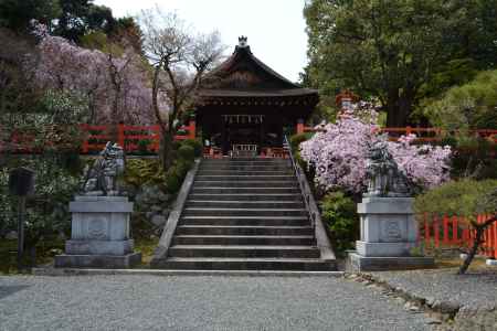 建勲神社の桜