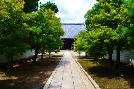 緑の参道　妙顕寺