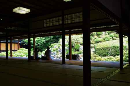 庭園を楽しむ　智積院　庭園