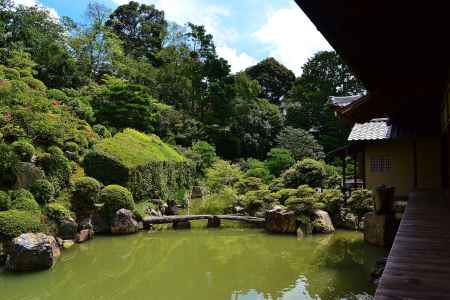 智積院　夏の庭園