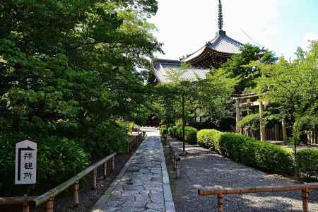 本法寺　参道