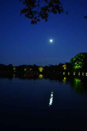 大覚寺　観月の夕べ