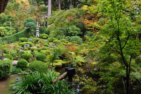 三千院　聚碧園