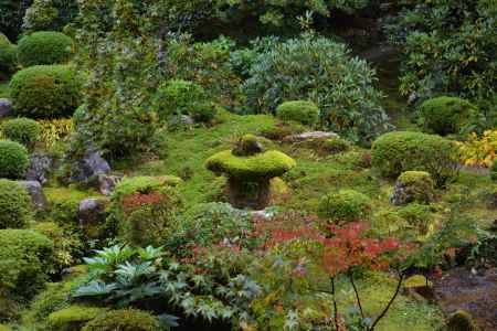 三千院　聚碧園の灯篭