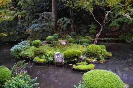 三千院　有清園の池