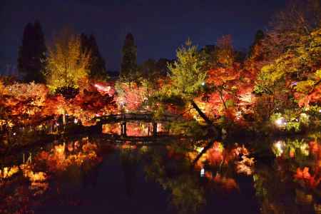 秋夜の永観堂