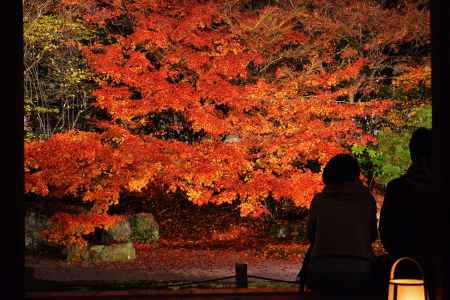 京都の秋、二人り占め。