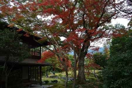 母屋と紅葉