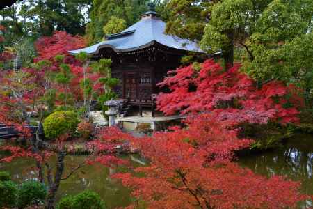 紅葉につつまれた弁天堂　清凉寺