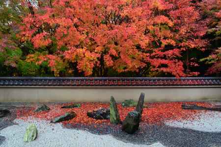 枯山水の敷き紅葉