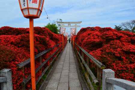 参道、真紅に染まる。