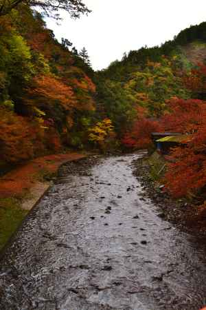 高雄　錦秋の清流