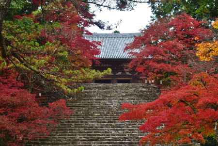 神護寺　石段の紅葉