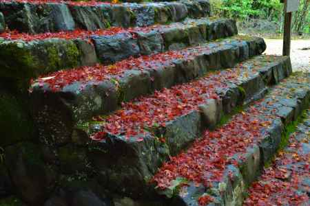 紅葉の石段