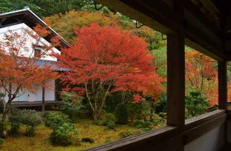 西明寺　紅葉の庭園