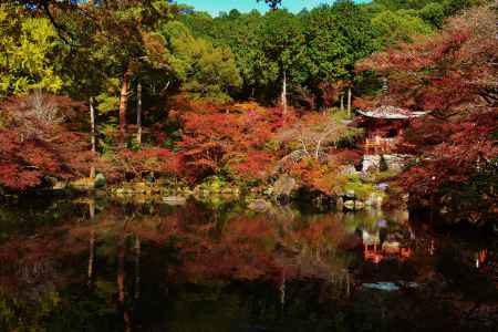 醍醐の紅葉