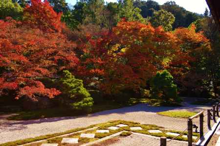 紅葉と苔と石畳