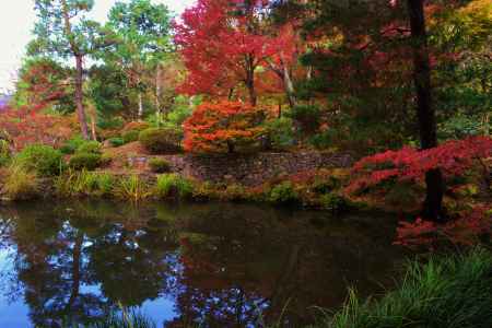 等持院の紅葉