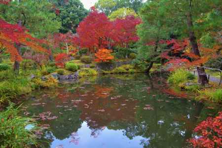 紅葉と心字池　等持院