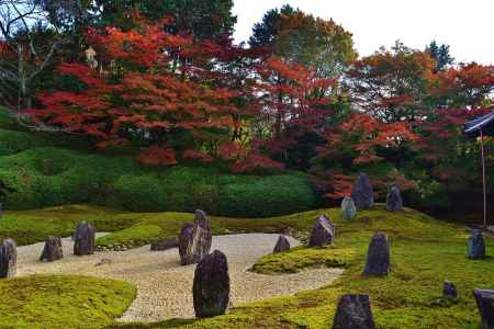 紅葉の波心庭