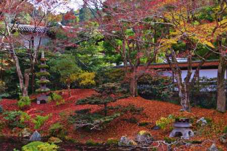 晩秋の御座所庭園　敷き紅葉　