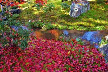 宝厳院の敷き紅葉