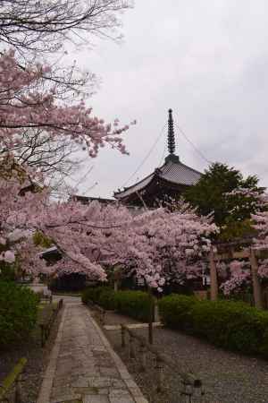 本法寺参道