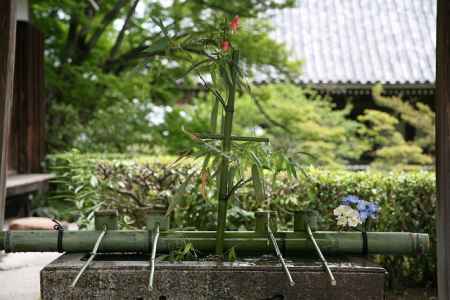 善峰寺にて