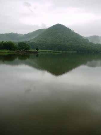 雨の広沢の池