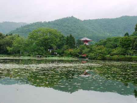 大覚寺　大沢の池　