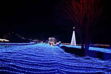 京都イルミエール　海