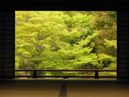 天龍寺　庭園