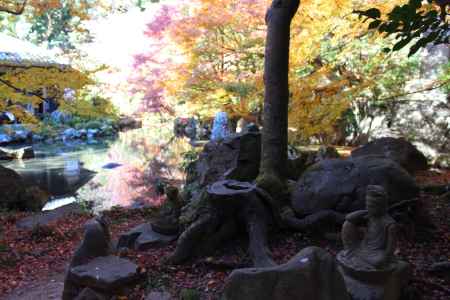 蓮華寺の紅葉2