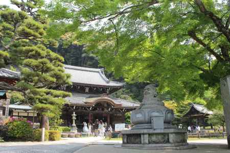 三室戸寺の新緑