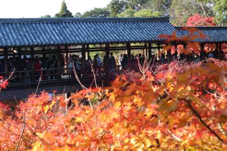 東福寺の紅葉と通天橋