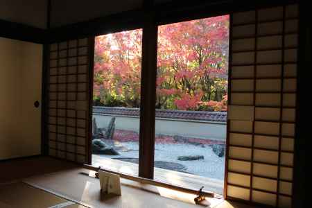 東福寺　龍吟庵