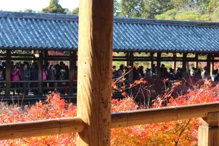 東福寺の紅葉と通天橋2