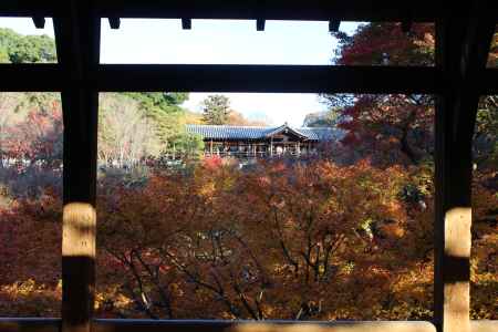 東福寺の紅葉と通天橋5