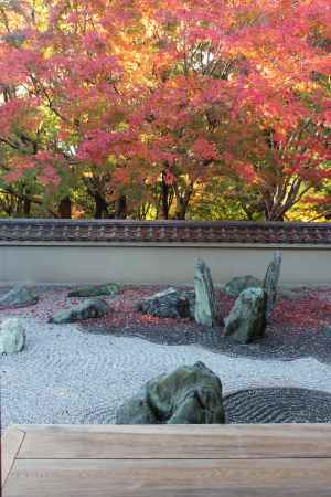 東福寺　龍吟庵3