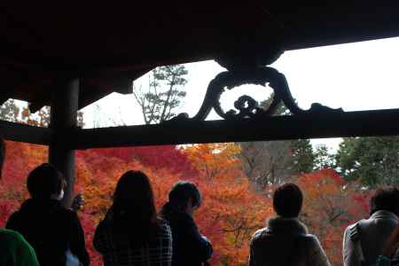 東福寺の紅葉と通天橋7