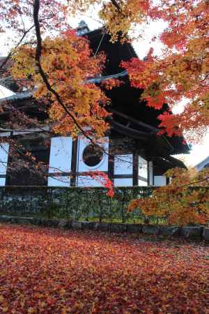 東福寺の紅葉5